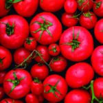 Tomate